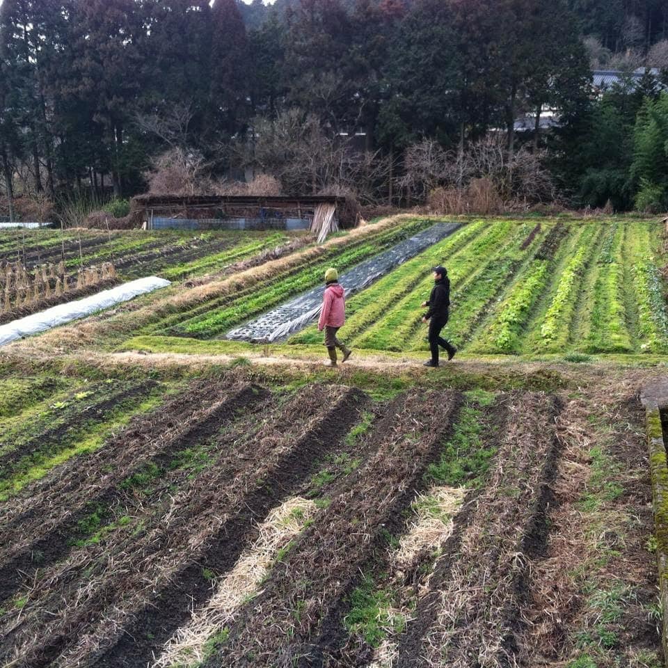 Farm in Japan