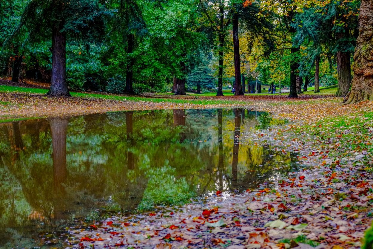 Reflections Laurelhurst Park