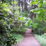 Finding Peace on trail in Mt. Tabor Park